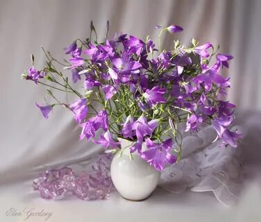 Букет колокольчиков