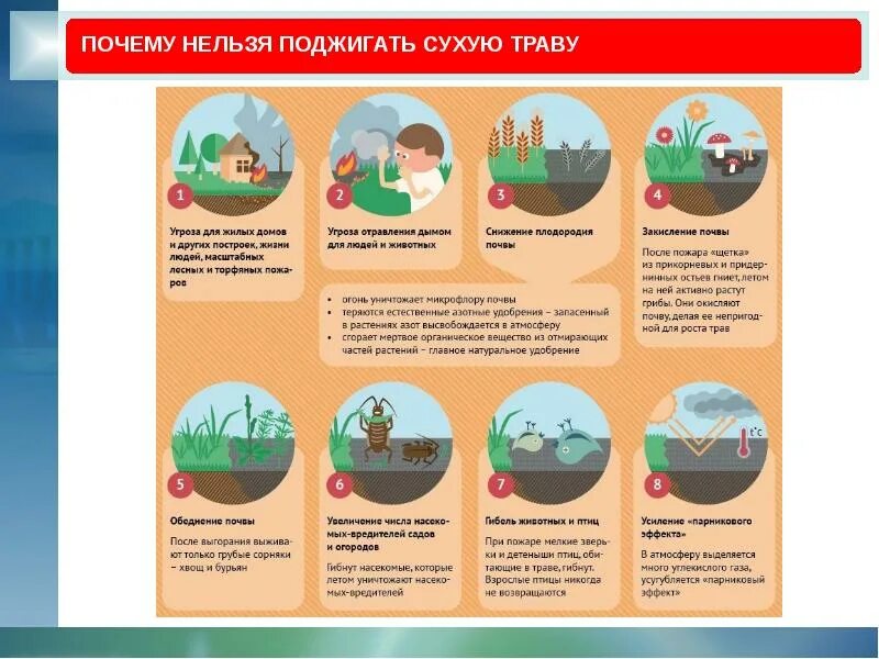 Посему нельзя. Нельзя поджигать сухую траву. Почему нельзя поджигать траву весной. Почему нельзя жечь траву. Почему нельзя жечь сухую траву.