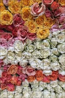 Many flower
