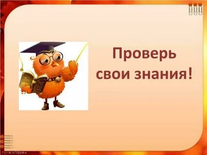 Проверить знания истории
