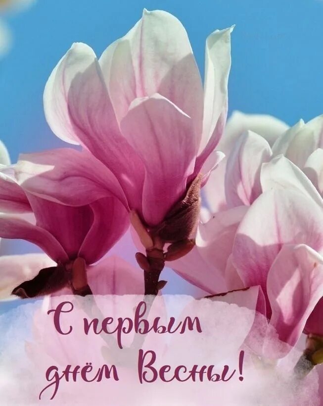 С днем весны картинки. С первым днем весны. С днем весны любви и счастья. Весенний день. Открытки с первым днем весны.