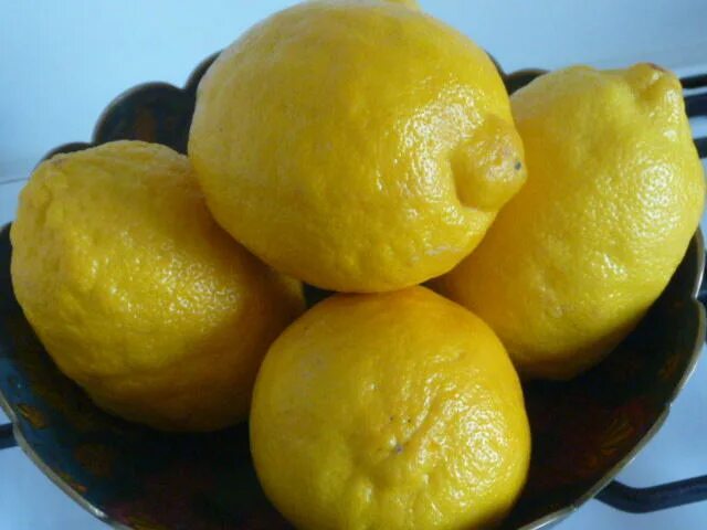 Польза кожуры лимонов. Что сделать с лимонами. Лимонный Фреш. Что можно слепить из лимона. Лимонное тесто Фреш.