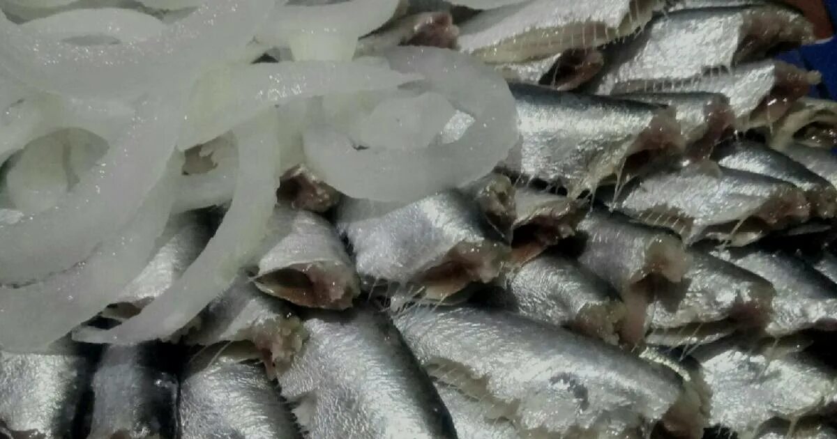 Речная рыба в рассоле по домашнему. Засолить салаку в рассоле. Салака пряного посола в пятëрочке. Рассол для пряного посола рыбы. Уклейка пряного посола.