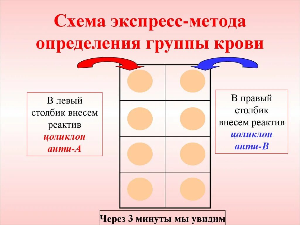 Схема экспресс метода определения группы крови. Определение группы крови экспресс методом. Методика определения резус фактора экспресс методом. Группа крови экспресс метод. Алгоритм группы крови и резус фактора