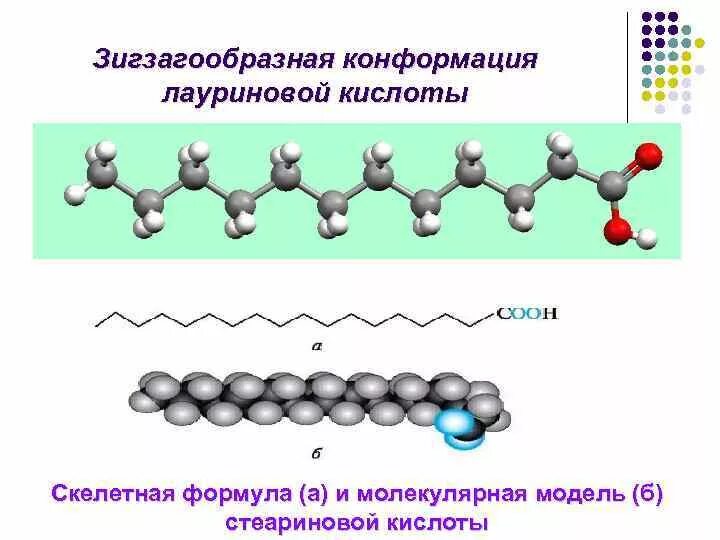 Конформация лауриновой кислоты. Конформация стеариновой кислоты. Лауриновая кислота формула. Триглицерид лауриновой кислоты.