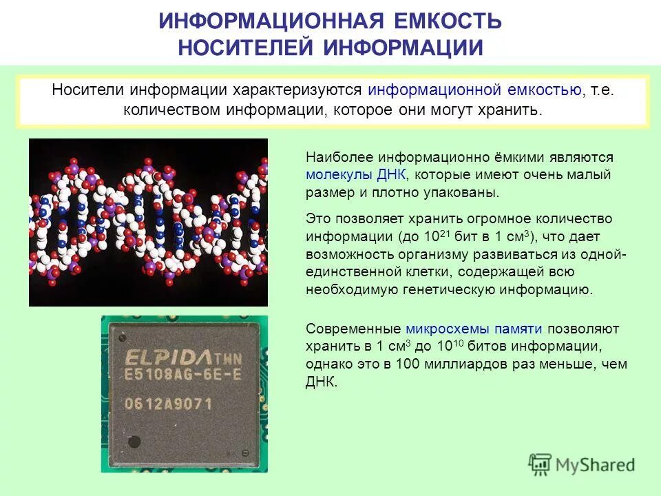 Информационная емкость носителя информации это. Наибольшая емкость носителей информации. Носители информации таблица. Наибольшая емкость носителей информации. Наибольшая емкость носителей информации.