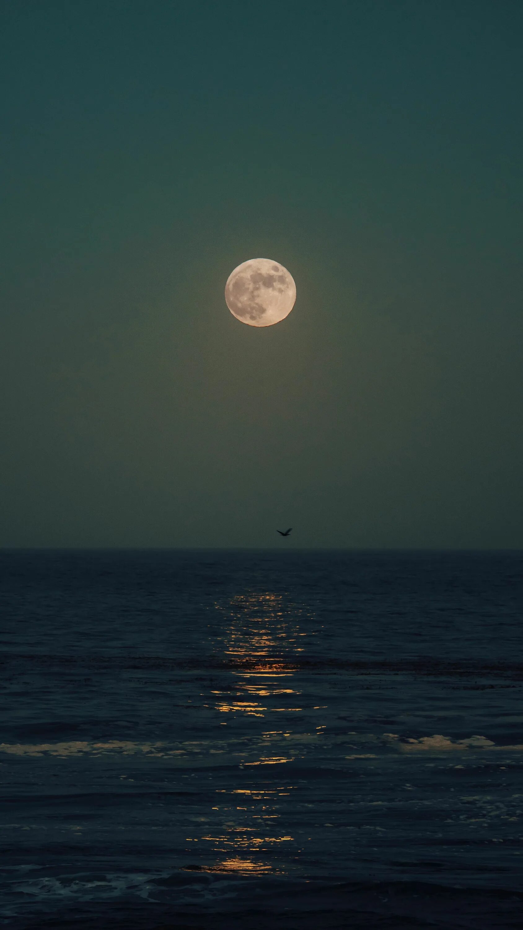 Луна над горизонтом. Луна и море. ночь в море. ночь луна море. луна над морем.
