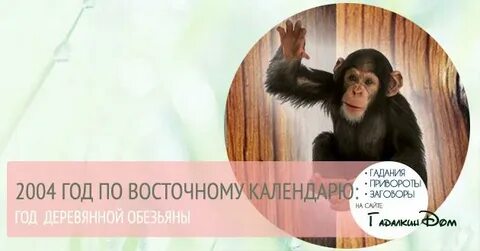 2004 год по восточному календарю какое