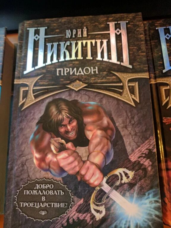 Читать книги юрия никитина