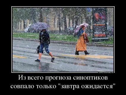 Про синоптиков