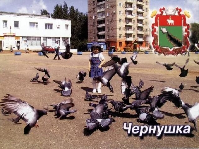 Чернушка муром. Чернушка пермский край. чернушка (город). достопримечательности г чернушка. чернушка площадь.