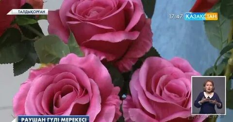 Шұлық киген сексуалды гейлер