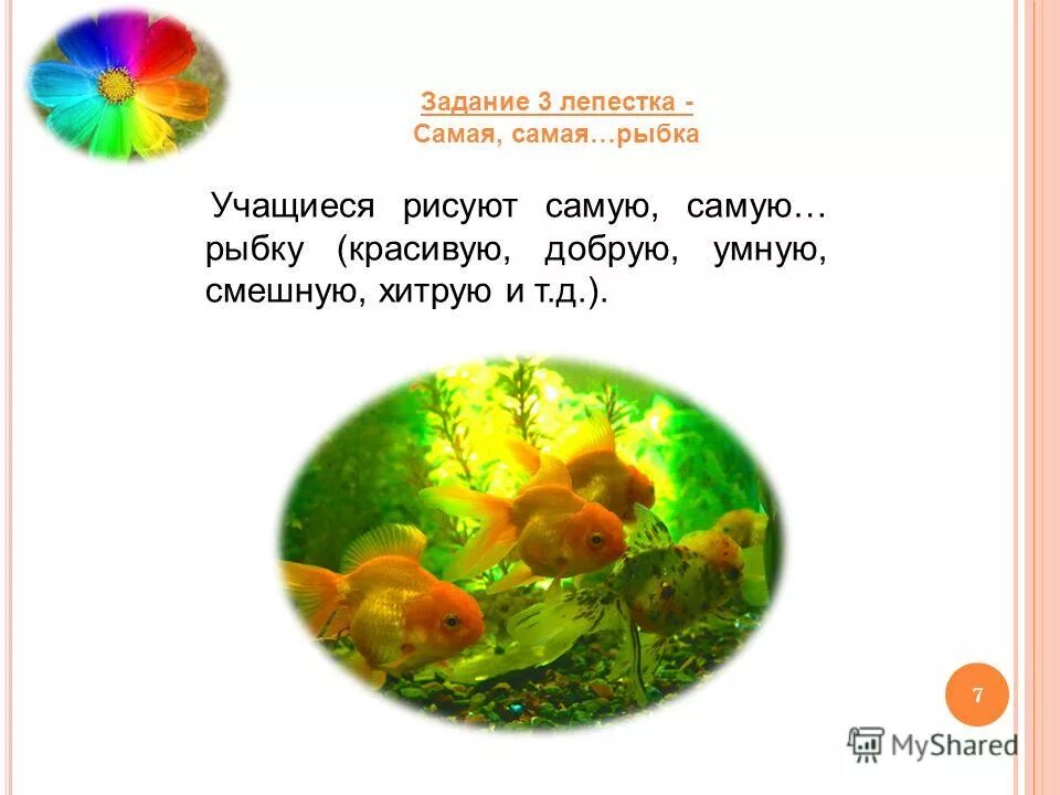 рыбка попугай дискус. маленькие красивые рыбки плавают в аквариуме любопытный. рыба рисунок для детей. рыбы окружающий мир. стать рыбкой это.