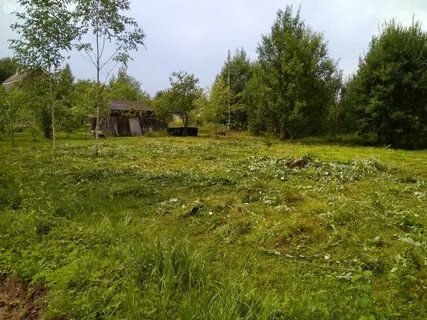 Погода заклинское поселение ленинградская область лужский