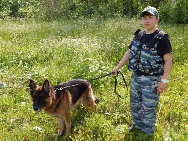 Внимание собака. Анастасия зимарева кинолог. Полицейский кинолог. Зимарева кинолог. Людмила амарантова кинолог.