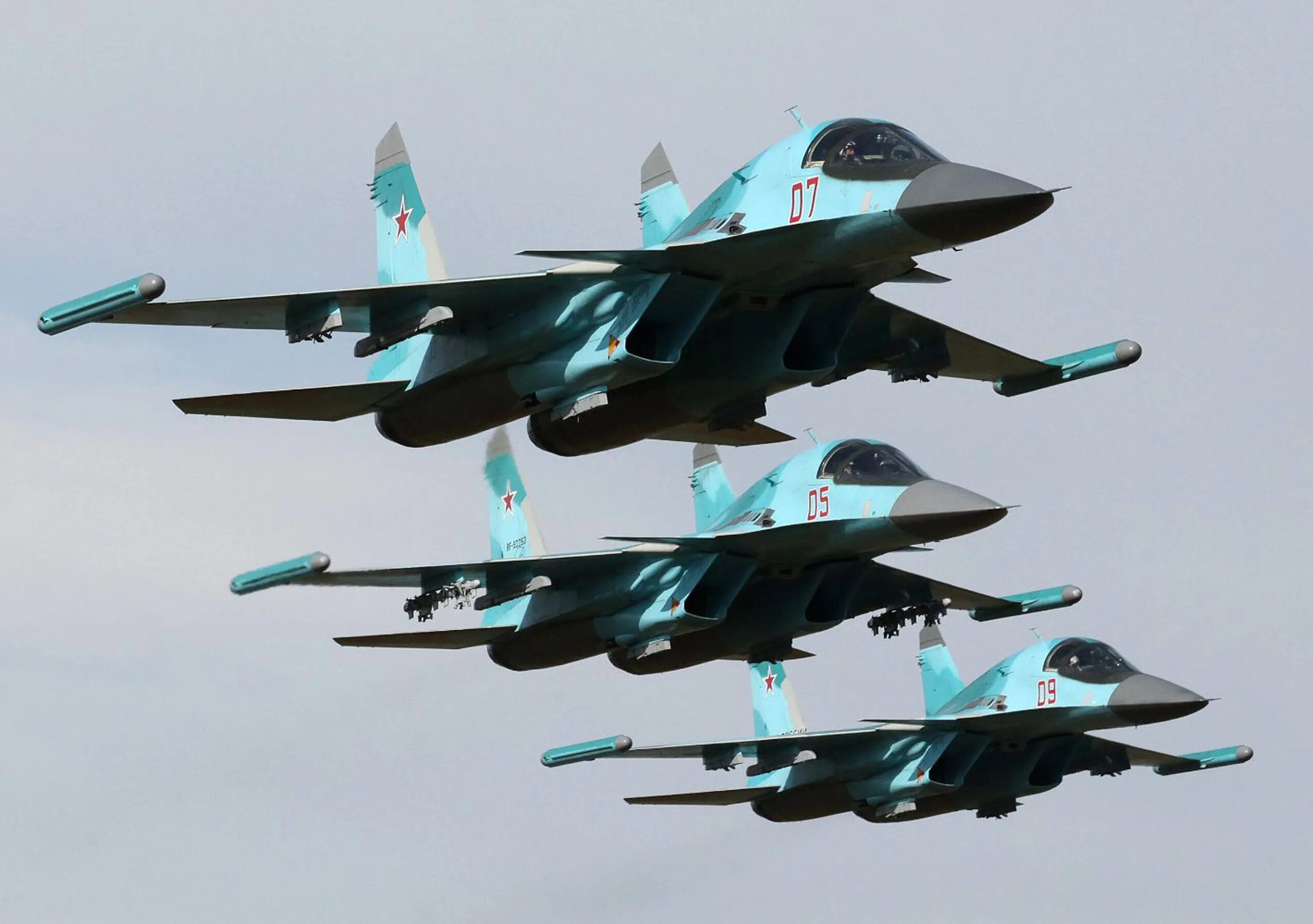 самолет военный. пара су 27. военно-воздушные силы (ввс). су-30 вкс россии. су-30см ввс россии.