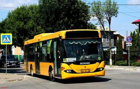 Автобус 33 спб