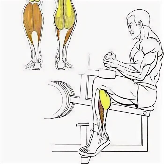 Как накачать голень. Прокачка камбаловидной мышцы. Тренажер для прокачки икроножных мышц. Подъём икроножных мышц сидя. Упражнения для икроножных мышц.