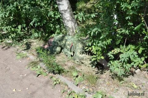 Лучше голова в кустах