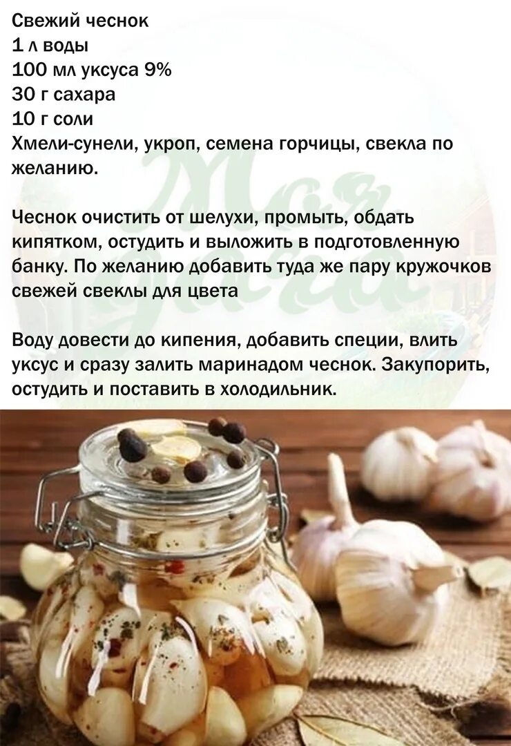 Маринованный чеснок простые рецепты. Рецепт маринования чеснока. Маринованный чеснок рецепт. Чеснок маринованный домашний. Маринованный чеснок зубчиками рецепт на зиму.