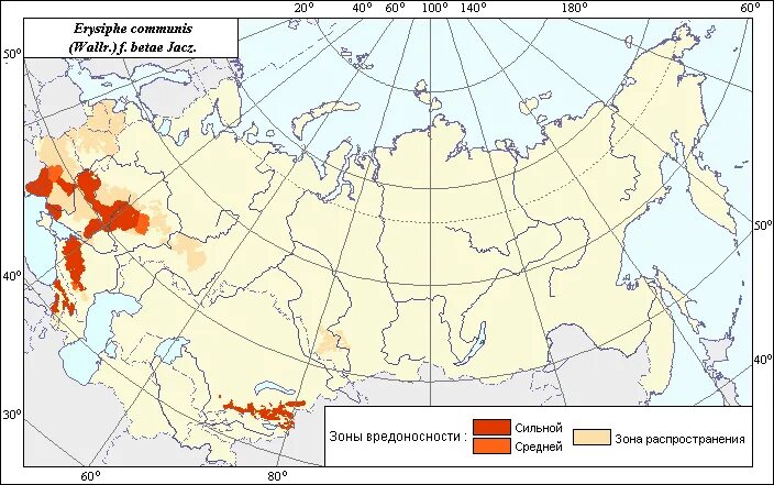 Районы выращивания на карте. Районы произрастания сахарной свеклы в России. Районы выращивания сахарной свеклы в России на карте. Ареал произрастания подсолнечника. Районы выращивания сахарной свеклы на карте.