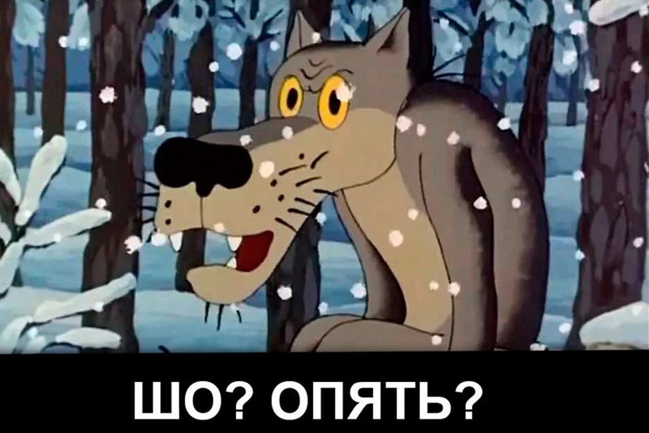 Ну все заводи. Жил был пес шо опять. Волк из мультика жил был пёс шо опять. Волк из мультика шо опять. Волк из мультика.