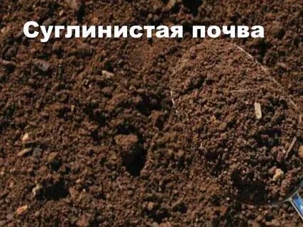 Легкий грунт