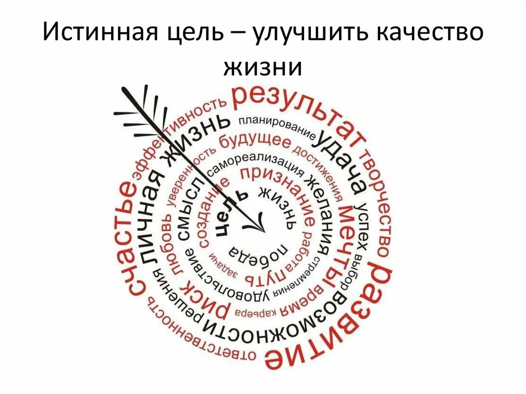 Воплотить цели в жизнь. Истинная цель. Истинность цели. Истинные и ложные цели в жизни. Ложные цели в жизни.