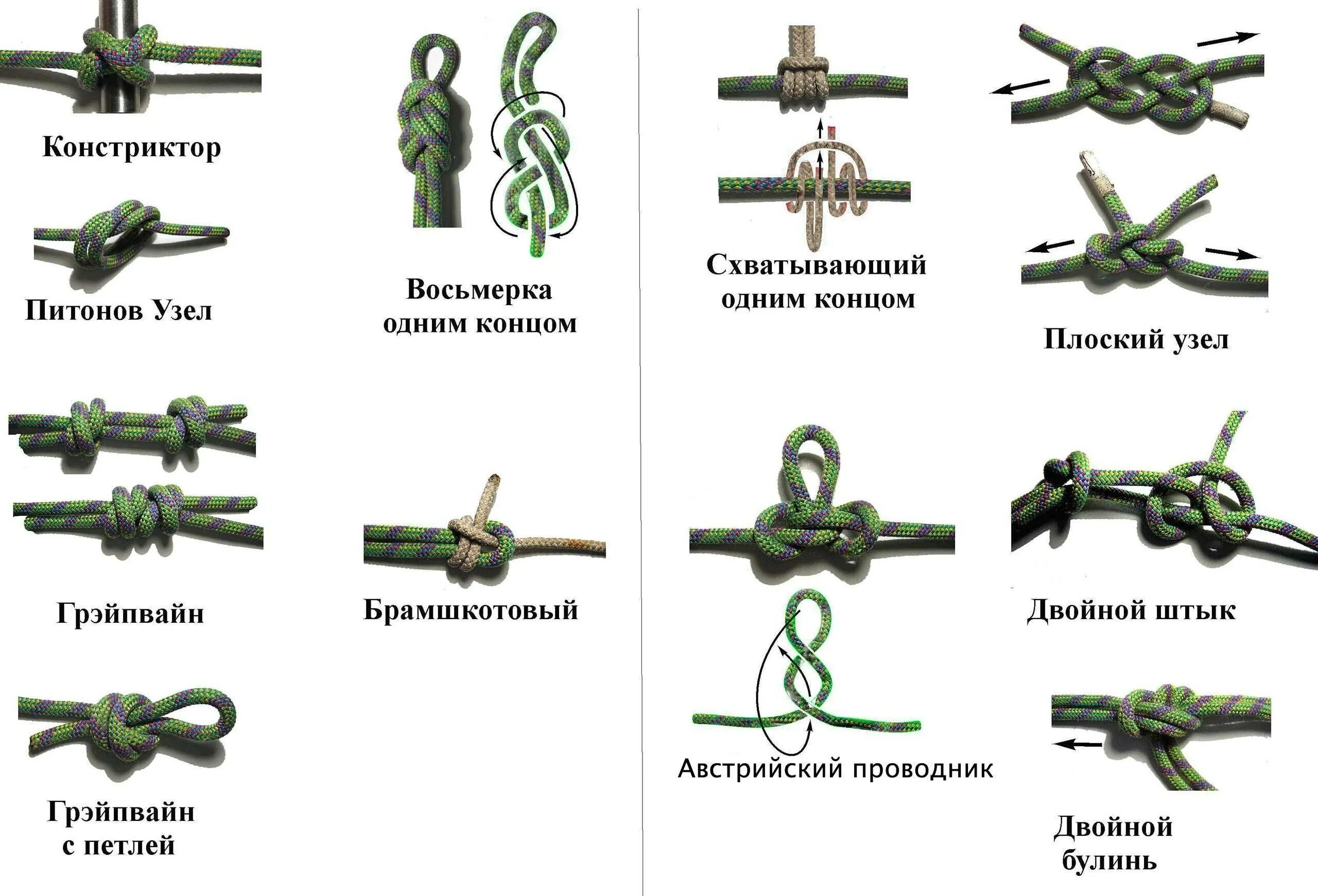 Определите тип узлов