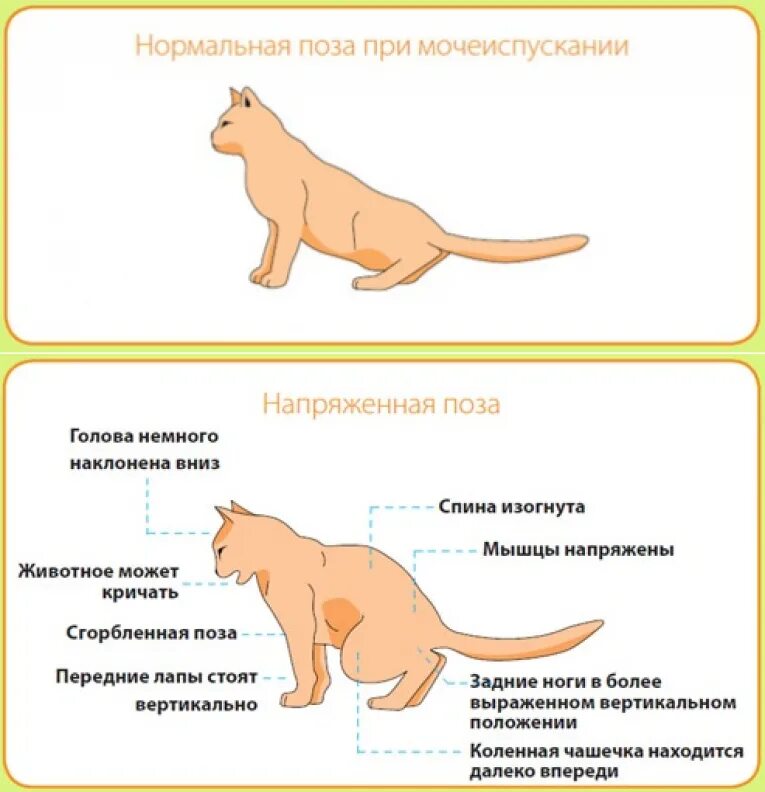 Почему передергивает