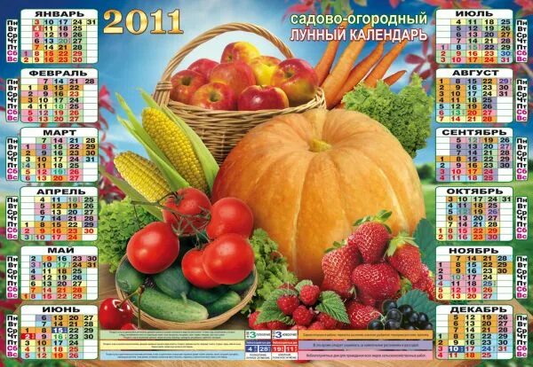 Настенный календарь дачника. Садово-огородный лунный. Садово-огородный лунный календарь. Садово огородный календарь. Огородный календарь на апрель 2024 год