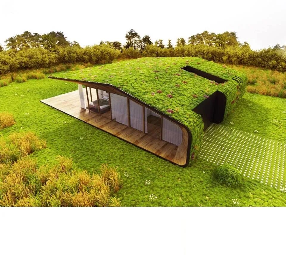 Экстенсивная зеленая кровля плоская. Навес с Green Roof. Кровля с газоном на крыше. Озеленение крыш домов.