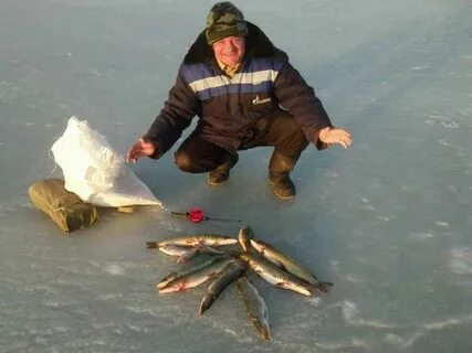 Рыболов горького