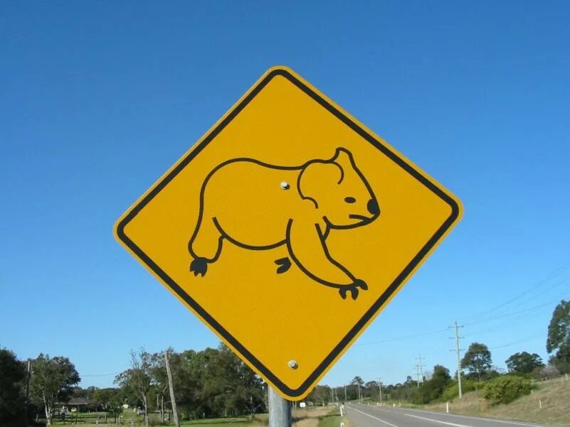 Дорожные знаки путешествие. Дорожные знаки Австралии. Знак животные на дороге. Знак с кенгуру в Австралии. Дорожный знак кенгуру в Австралии.