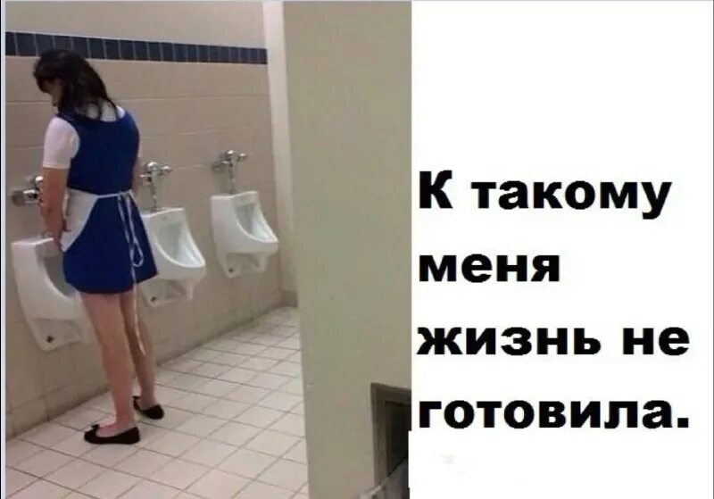 села на диету юмор. приколы про еду ночью. не готовить. не готовясь. не готовясь.