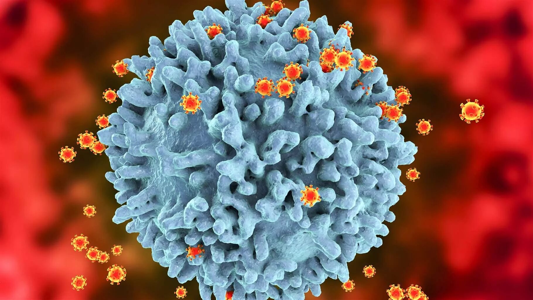 The AIDS Fight: Andrew Sullivan on a History of the Movement - The New York Time