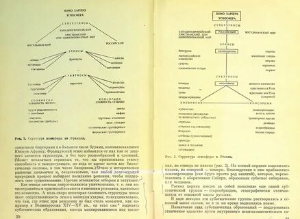 Гумилева этнические