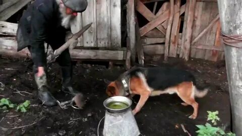 Жестокое ук