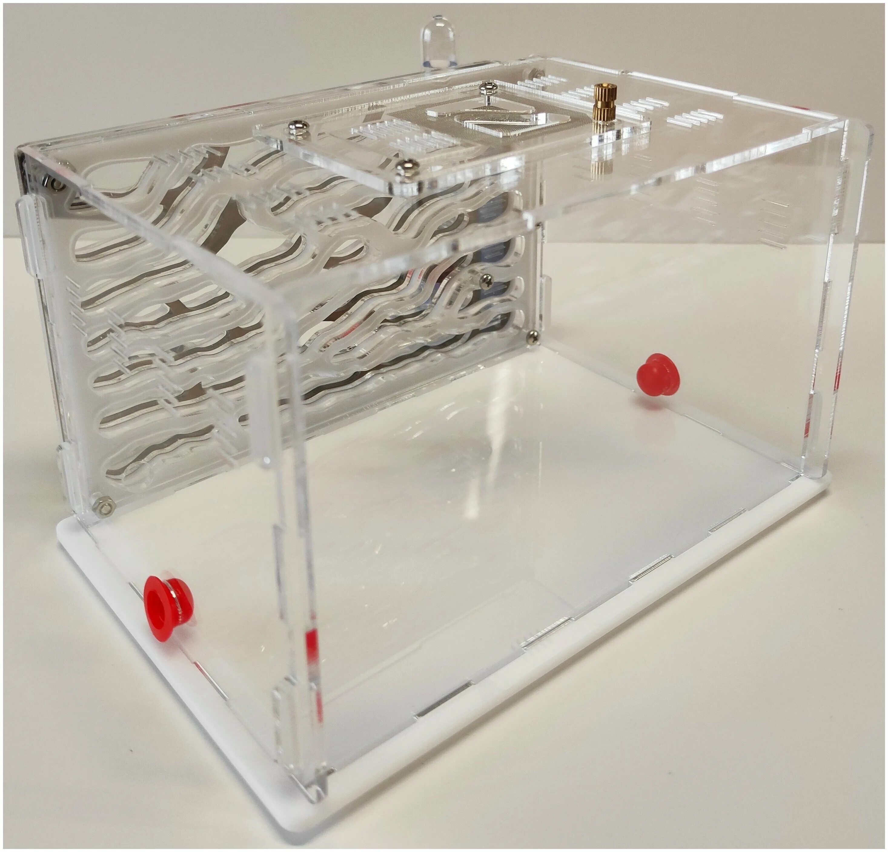 Муравьиная ферма ant tower ant nest b1 antlife. Top ant муравьиные фермы. Ant city. Формикарий мини ант планет. Померин хаус муравьиная ферма май антс.