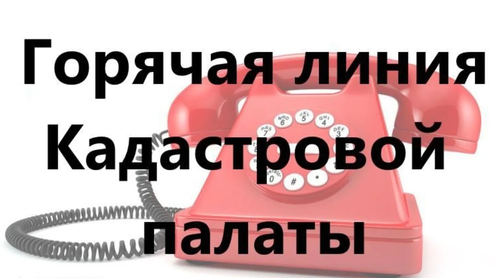 Телефон кадастровой палаты области. Горячая линия кадастровой палаты. Горячая линия кадастровой палаты картинка. Горячая линия роскадастр. Региональная кадастровая палата проведет горячую линию.