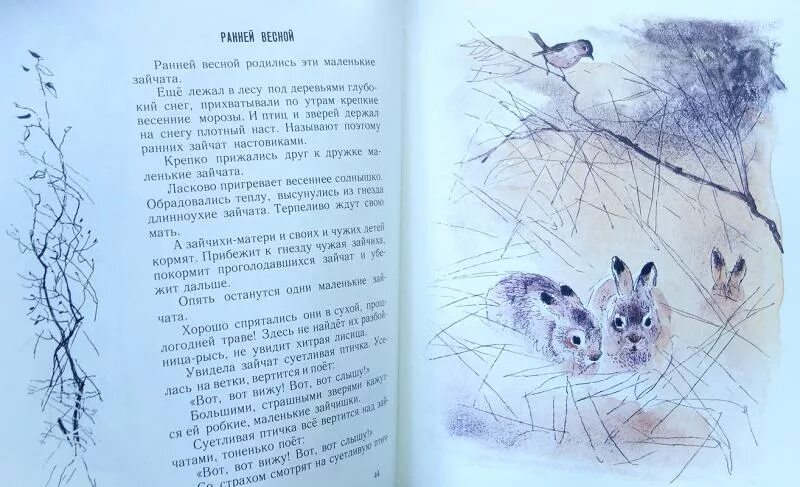 Упражнение 613 по русскому языку. Ранней весной родились эти маленькие зайчата. Ранней весной родились эти маленькие зайчата. В поле снег а у зайчихи уже рождаются зайчата. Упражнение 613 по русскому языку 3 класс.
