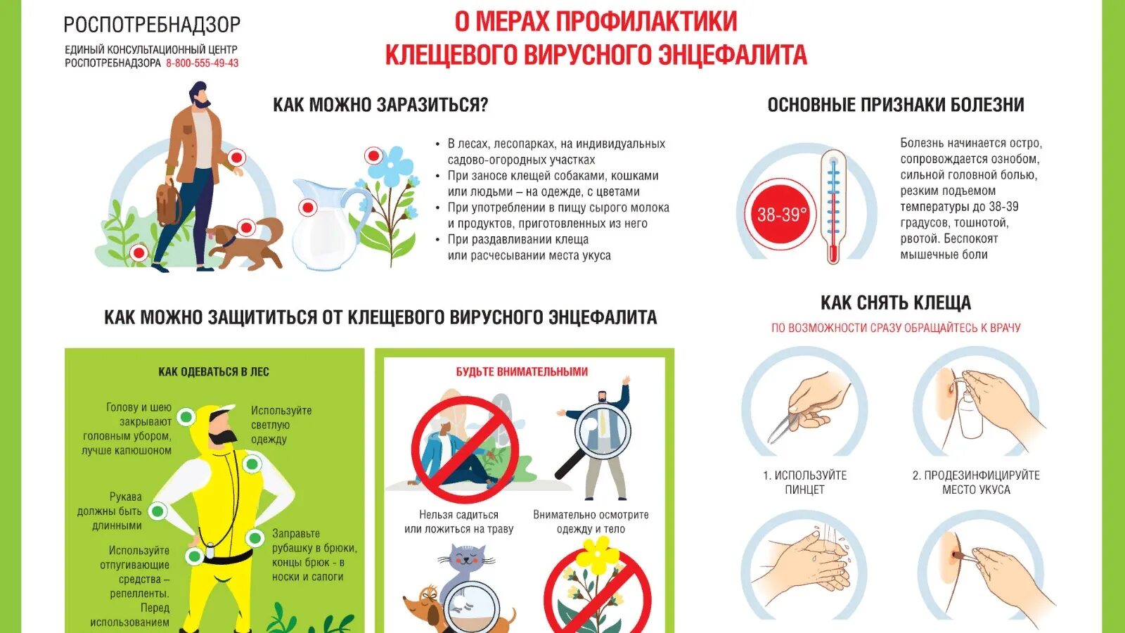 Можно в баню после прививки от клеща. Профилактика клещевого энцефалита памятка Роспотребнадзор. Клещи болезни клещей профилактика клещевого энцефалита. О мерах профилактики клещевого вирусного энцефалита. Профилактика иксодовых клещей.