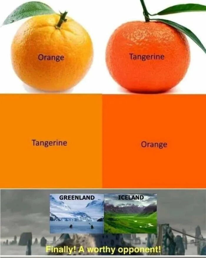 Tangerine love on a real train. Мандрин против апельсина. orange and tangerine. tangerine цвет. iceland vs greenland.