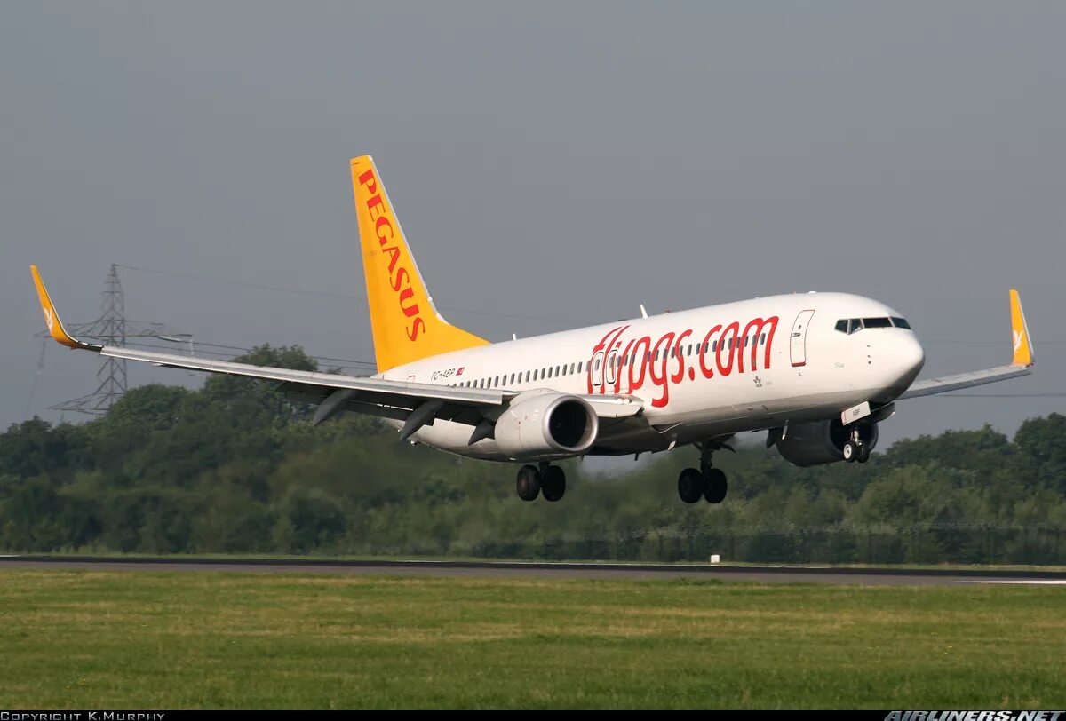 Купить авиабилет на самолет пегасус. Boeing 737 Pegasus Airlines. Boeing 737-82r. Pegasus Airlines Авиапарк. Авиакомпания Пегасус Авиапарк.