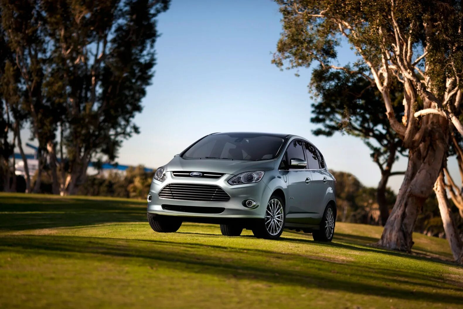 Ford c. Ford c