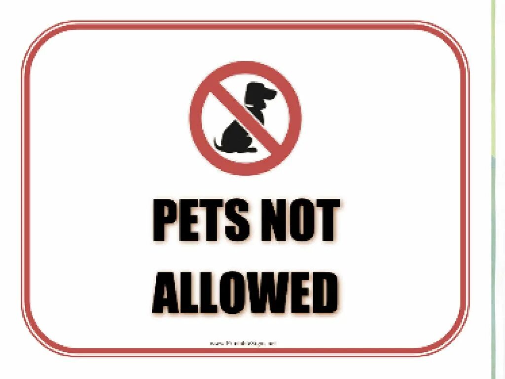 Not allowed. Not allowed sign. Allow картинка. Pets not allowed знак на белом фоне. I m allowed