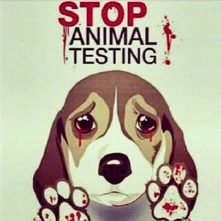 Stop tests