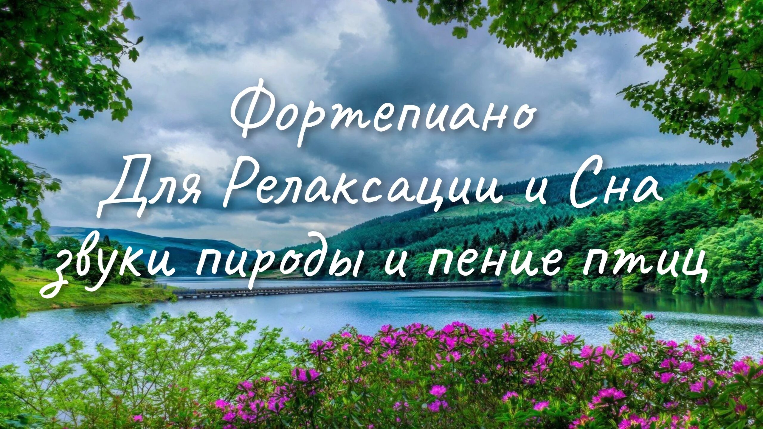 Музыка релакс с пением птиц. Звуки природы для релаксации. Релакс для сна пение птиц. Звуки природы для медитации. Звуки леса релакс.