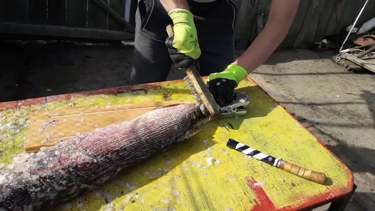 Чистка рыбы. Щука в раковине. Чистка рыбы. Как почистить щуку от чешуи. Щука чищеная.