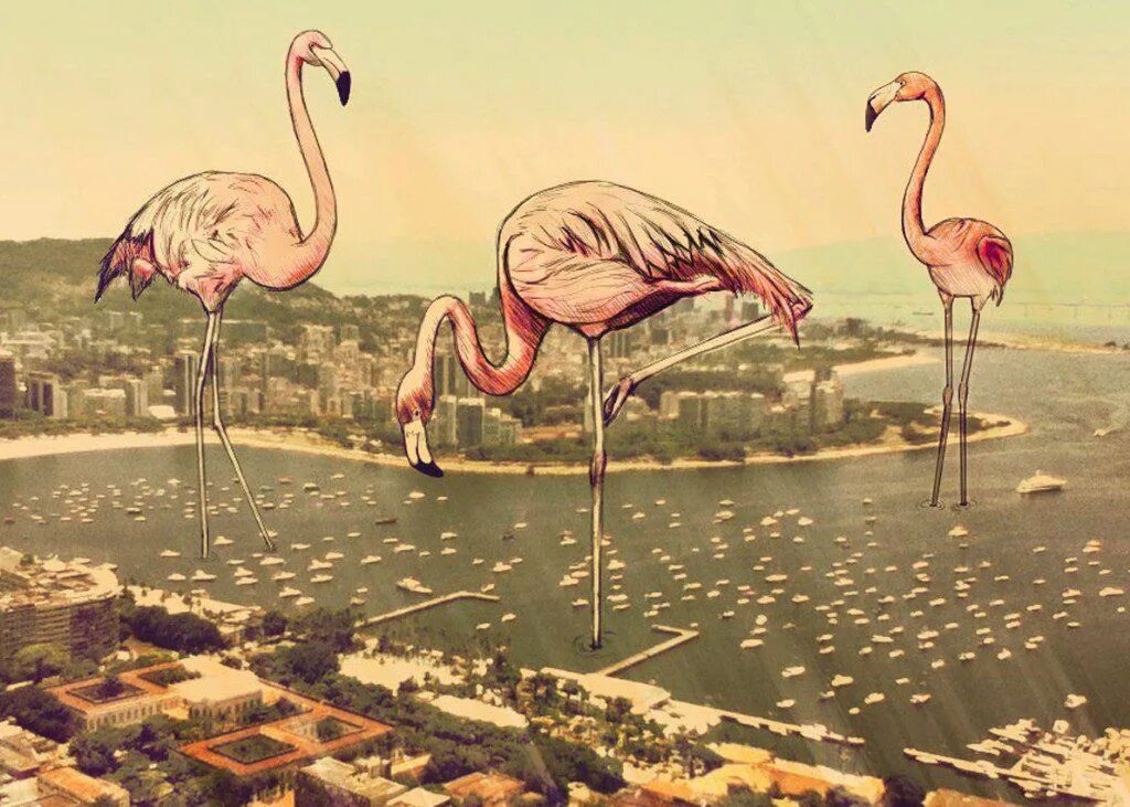Розовые фламинго в канкуне. Фламинго рио. Селестун мексика достопримечательности. Рио лагартос мексика розовое озеро. Заповедник рио лагартос.